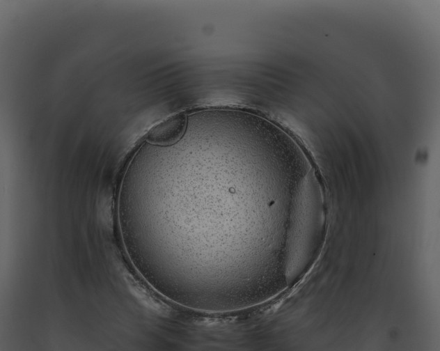 X0000093490345200710191232