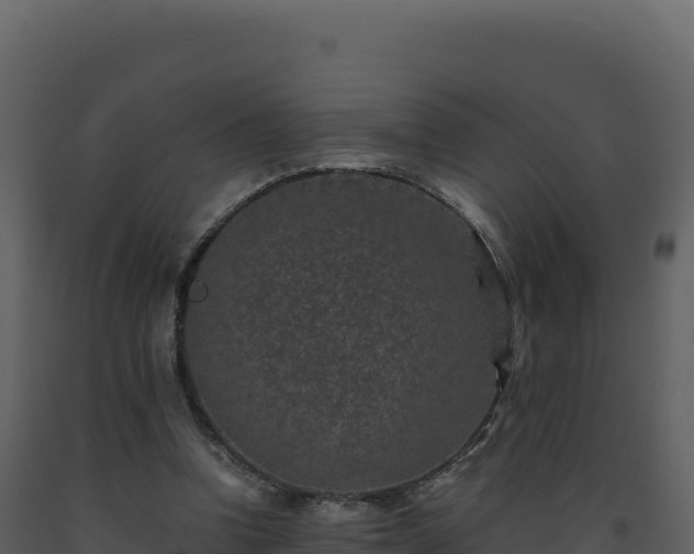 X0000093490346200710191232