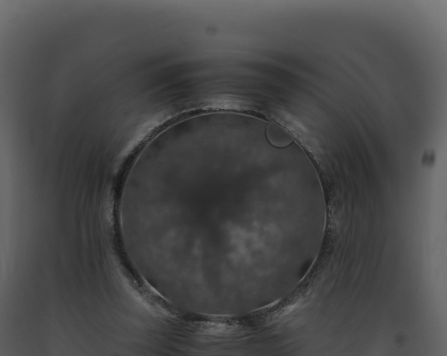 X0000093490347200710191232