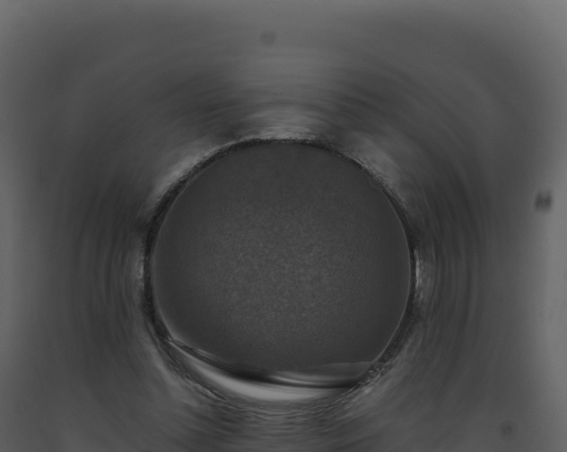 X0000093490348200710191232