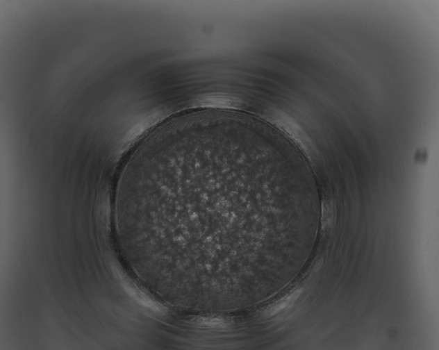 X0000093490349200710191232