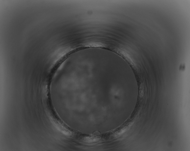 X0000093490351200710191232