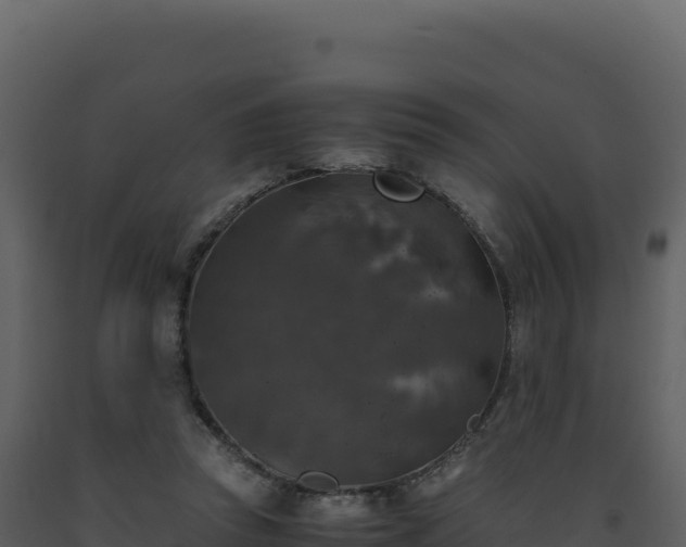 X0000093490353200710191232