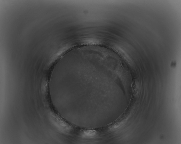 X0000093490355200710191232