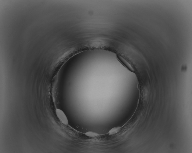 X0000093490356200710191232