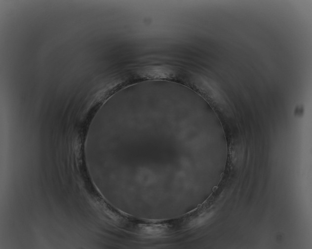 X0000093490359200710191232