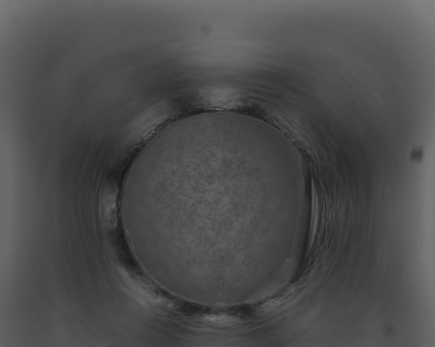 X0000093490360200710191232