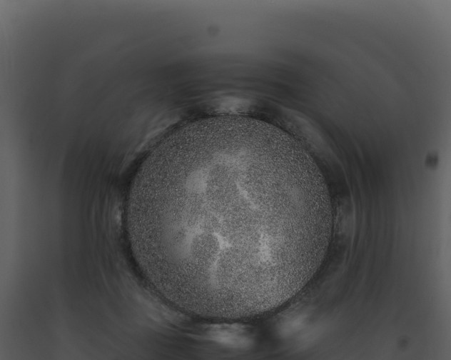 X0000093490363200710191232