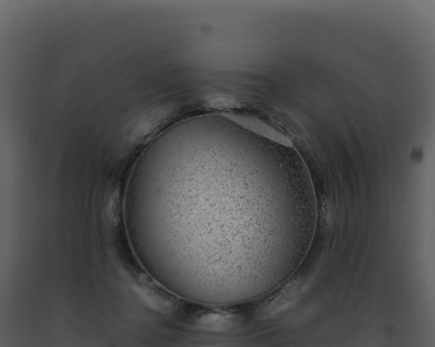 X0000093490364200710191232