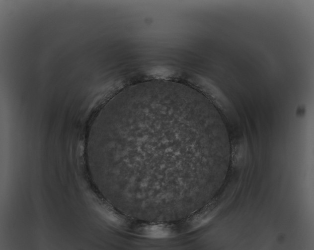 X0000093490365200710191232