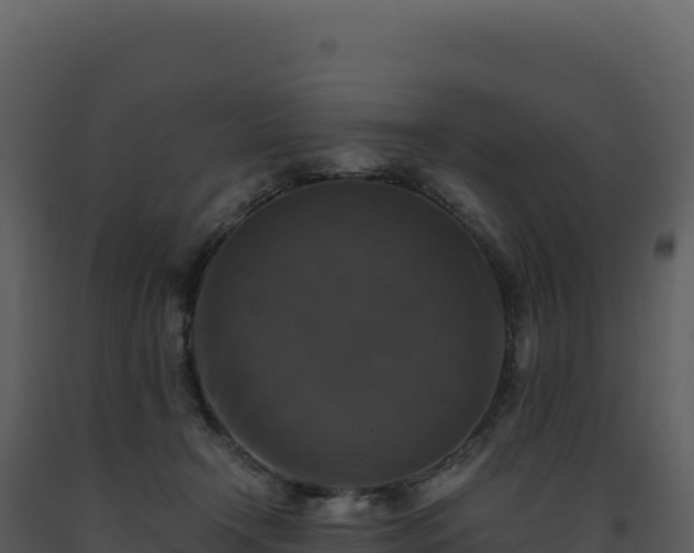 X0000093490366200710191232