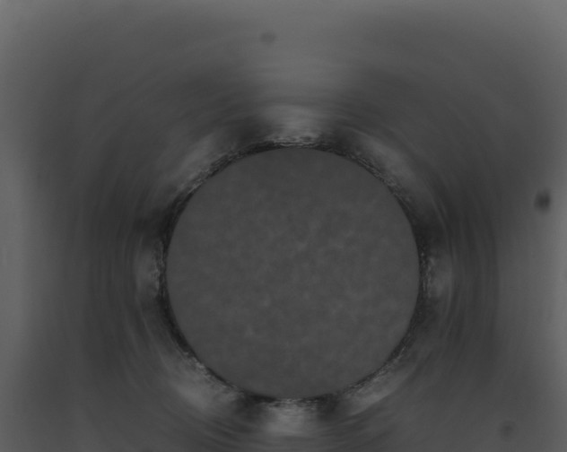 X0000093490370200710191232