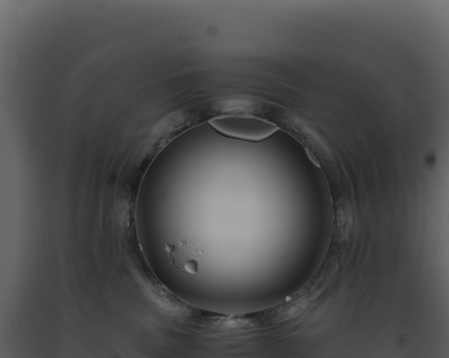 X0000093490379200710191232