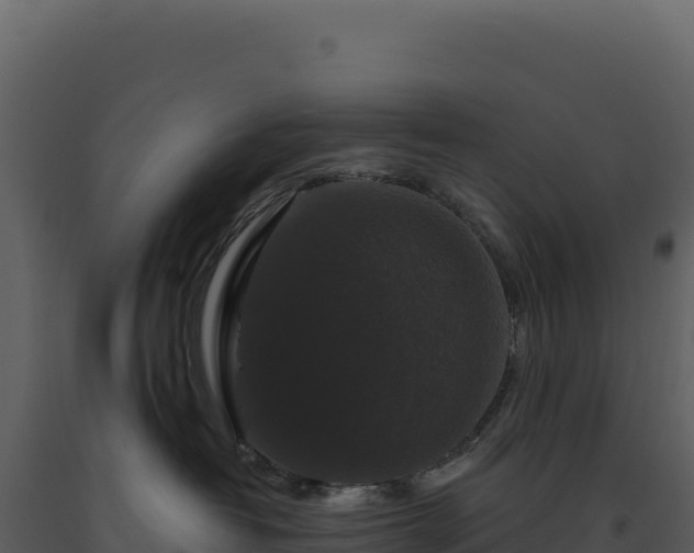 X0000093490382200710191232