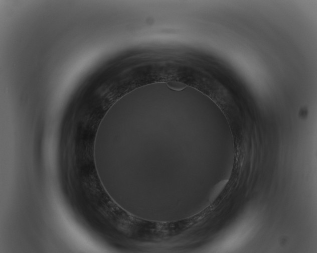 X0000093490383200710191232