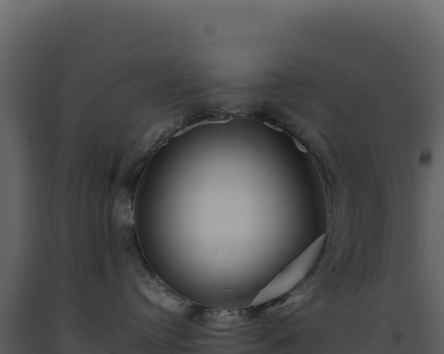 X0000093490384200710191232