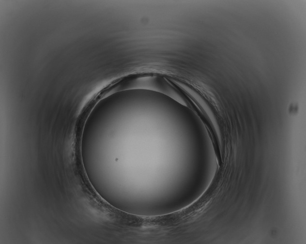 X0000093490388200710191231