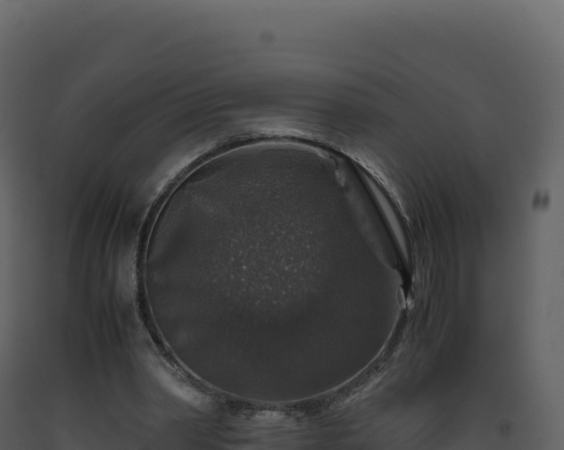 X0000093490390200710191231