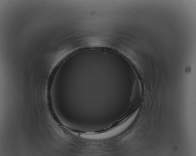 X0000093490391200710191231