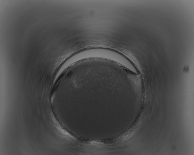 X0000093490393200710191231