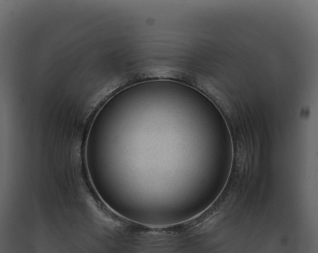 X0000093490394200710191231