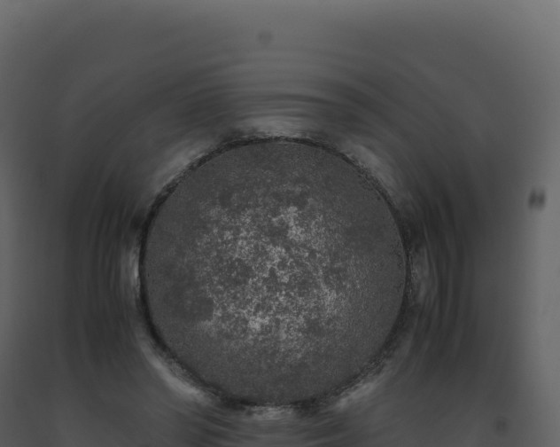 X0000093490398200710191231