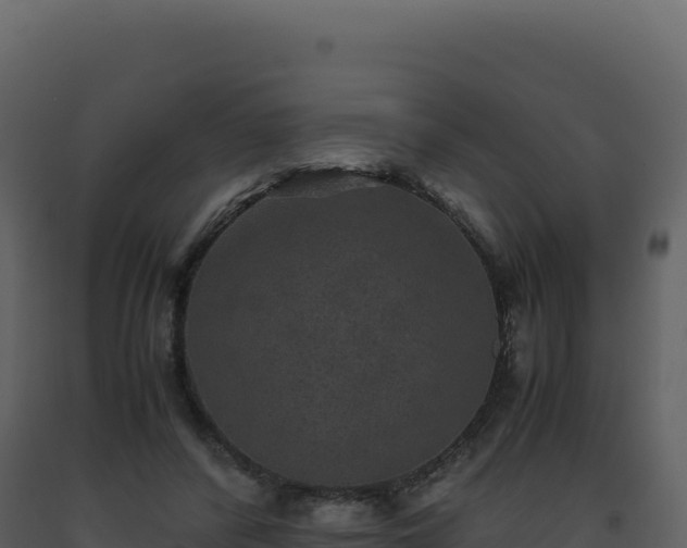 X0000093490400200710191231