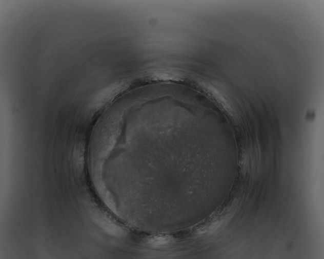 X0000093490402200710191231