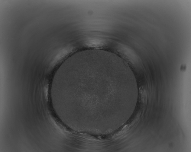 X0000093490404200710191231