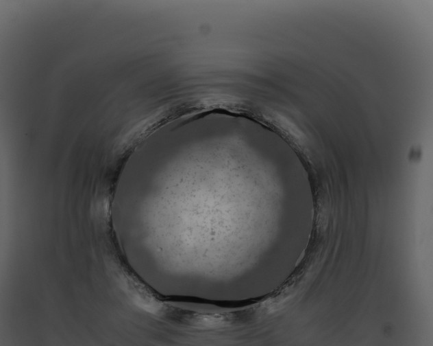 X0000093490405200710191231