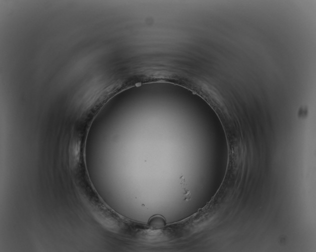 X0000093490406200710191231