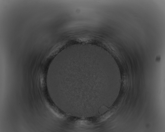 X0000093490408200710191231