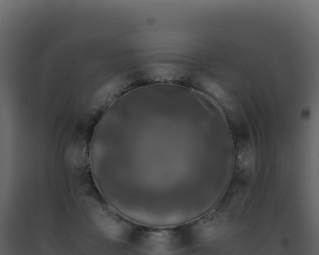 X0000093490411200710191231