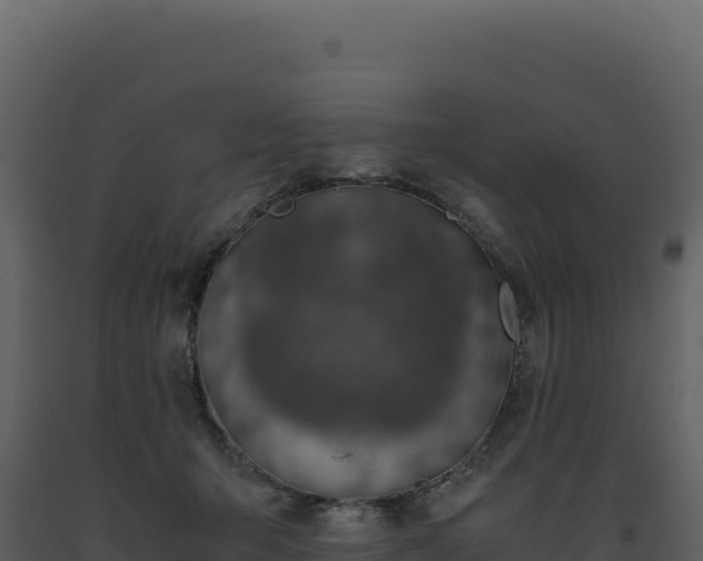 X0000093490415200710191231