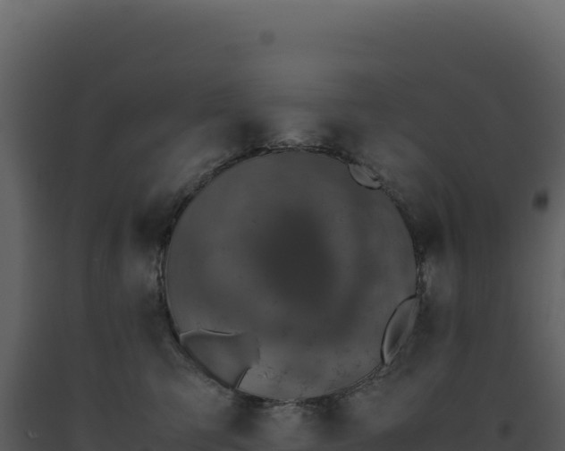 X0000093490423200710191231