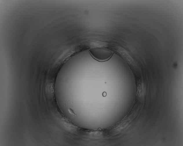 X0000093490426200710191231