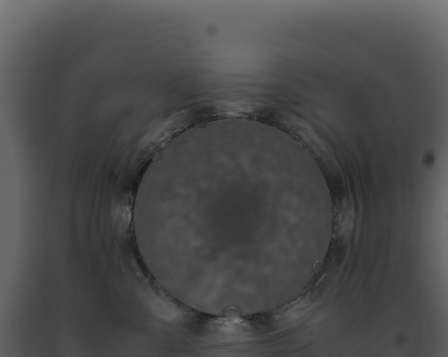 X0000093490427200710191231