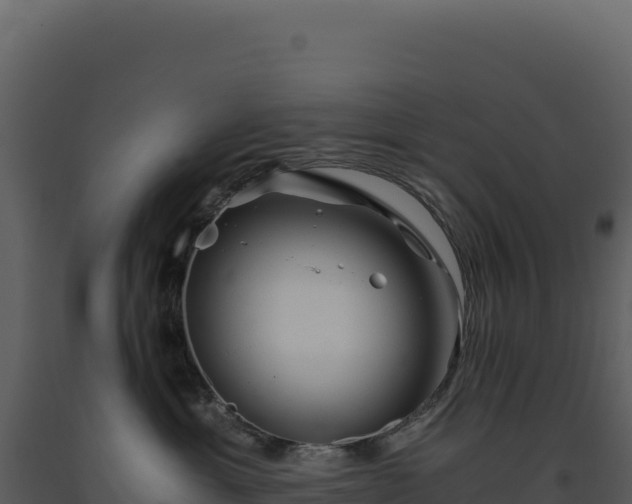 X0000093490429200710191231