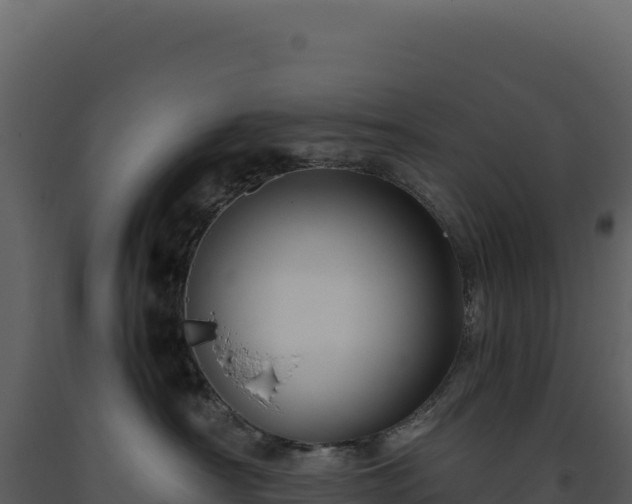 X0000093490430200710191231