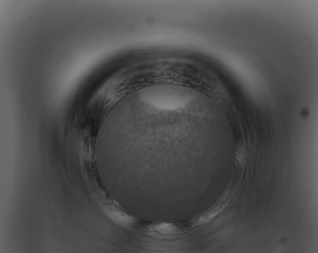 X0000093490431200710191231