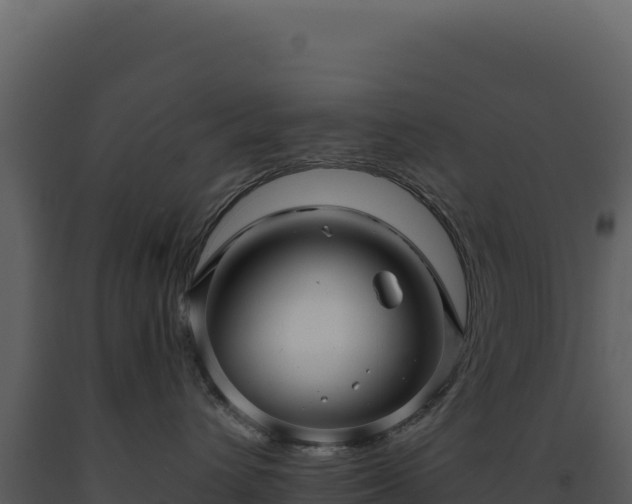 X0000093490432200710191231