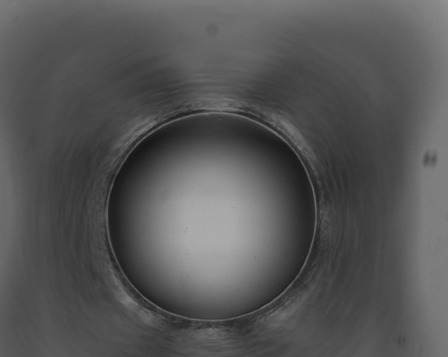 X0000093490433200710191230