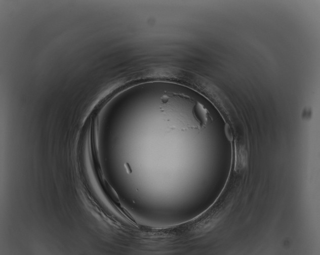 X0000093490435200710191230