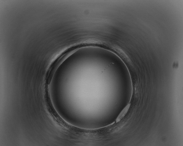 X0000093490436200710191230