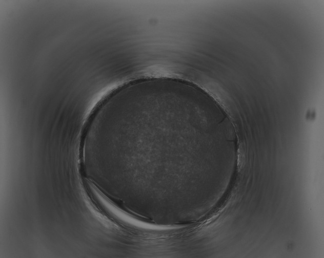 X0000093490438200710191230