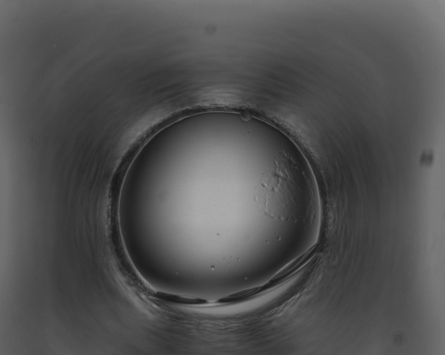 X0000093490439200710191230