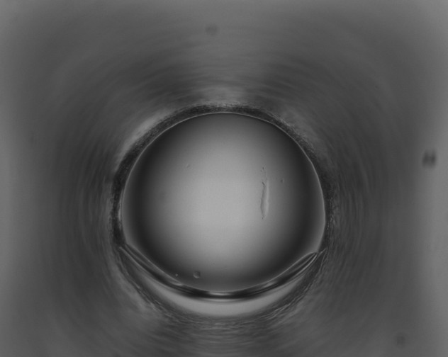 X0000093490440200710191230