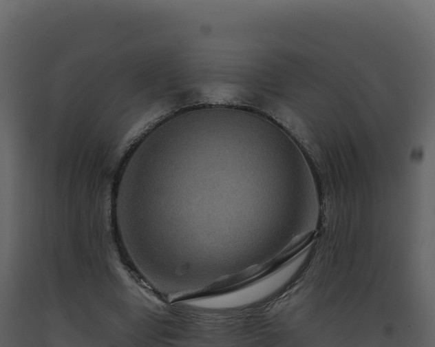 X0000093490442200710191230