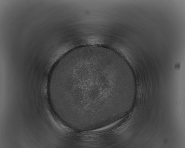 X0000093490443200710191230