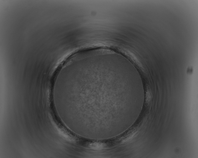 X0000093490444200710191230